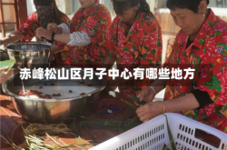 赤峰松山区月子中心有哪些地方