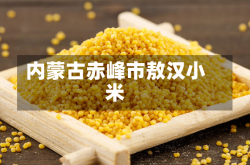 内蒙古赤峰市敖汉小米