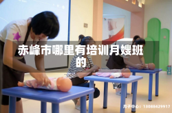 赤峰市哪里有培训月嫂班的
