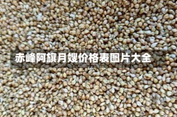 赤峰阿旗月嫂价格表图片大全