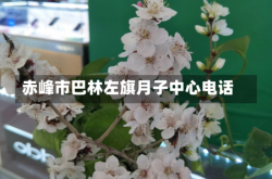 赤峰市巴林左旗月子中心电话