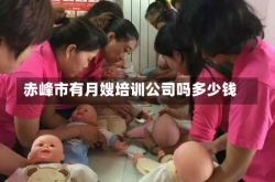 赤峰市有月嫂培训公司吗多少钱
