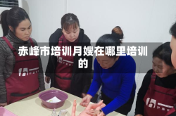 赤峰市培训月嫂在哪里培训的