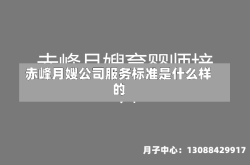 赤峰月嫂公司服务标准是什么样的