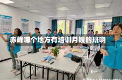 赤峰哪个地方有培训月嫂的班啊