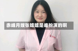 赤峰月嫂张姐姐是谁扮演的啊