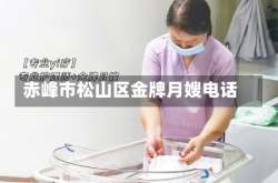 赤峰市松山区金牌月嫂电话