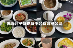 赤峰月子餐送餐平台有哪些公司