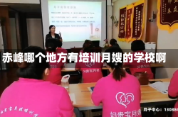 赤峰哪个地方有培训月嫂的学校啊