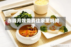 赤峰月嫂需要住家里吗知乎