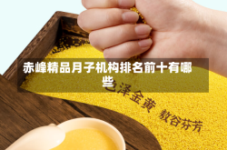 赤峰精品月子机构排名前十有哪些