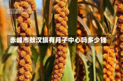 赤峰市敖汉旗有月子中心吗多少钱