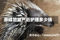 赤峰加盟产后护理多少钱