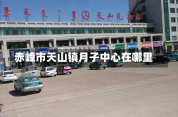 赤峰市天山镇月子中心在哪里
