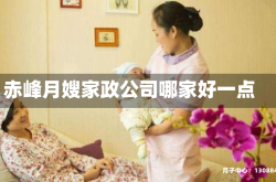 赤峰月嫂家政公司哪家好一点