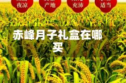 赤峰月子礼盒在哪买
