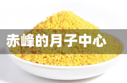 赤峰的月子中心