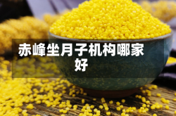 赤峰坐月子机构哪家好