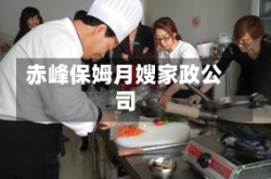 赤峰保姆月嫂家政公司