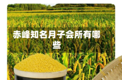 赤峰知名月子会所有哪些
