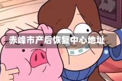 赤峰市产后恢复中心地址