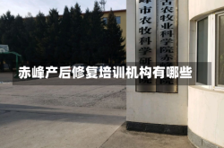 赤峰产后修复培训机构有哪些