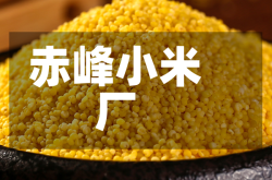 赤峰小米厂