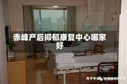 赤峰产后抑郁康复中心哪家好