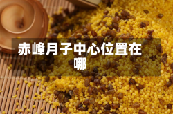 赤峰月子中心位置在哪