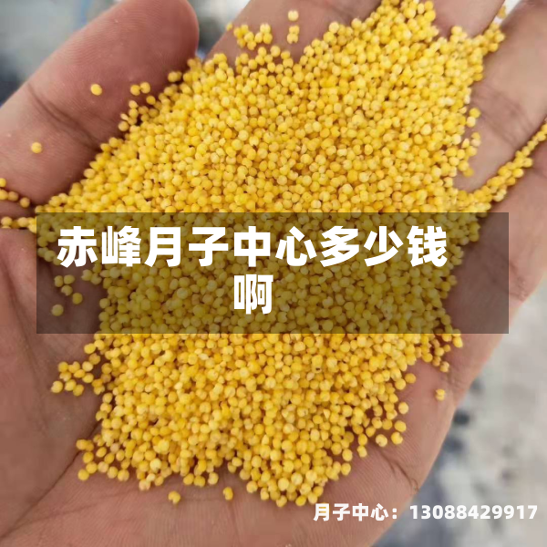 赤峰月子中心多少钱啊