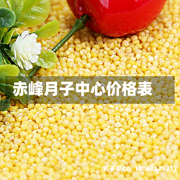 赤峰月子中心价格表