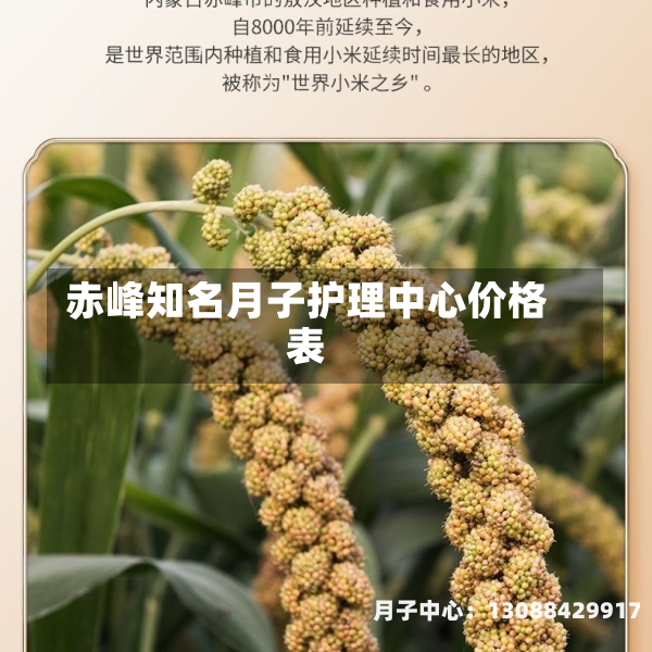 赤峰知名月子护理中心价格表