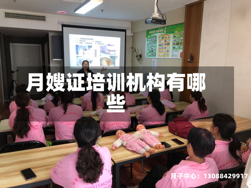 月嫂证培训机构有哪些