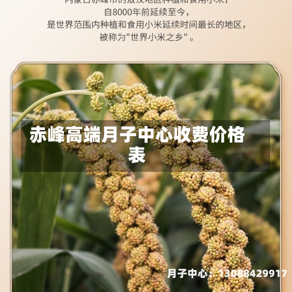 赤峰高端月子中心收费价格表