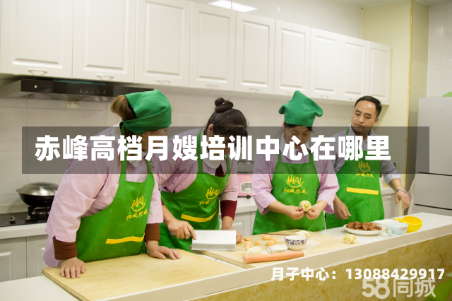 赤峰高档月嫂培训中心在哪里
