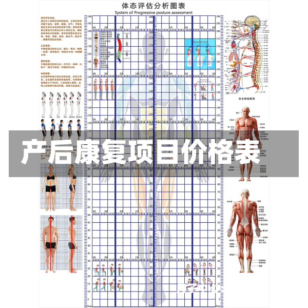 产后康复项目价格表