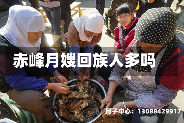 赤峰月嫂回族人多吗