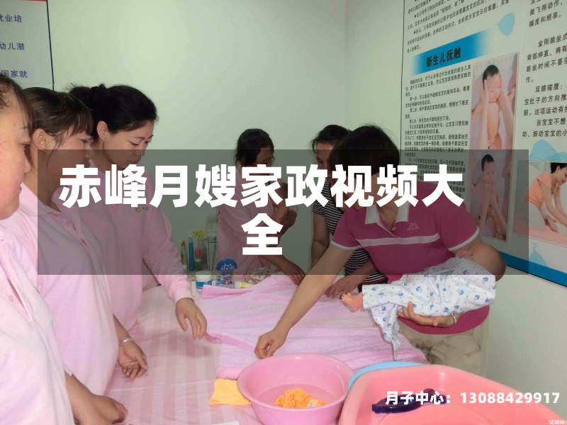 赤峰月嫂家政视频大全