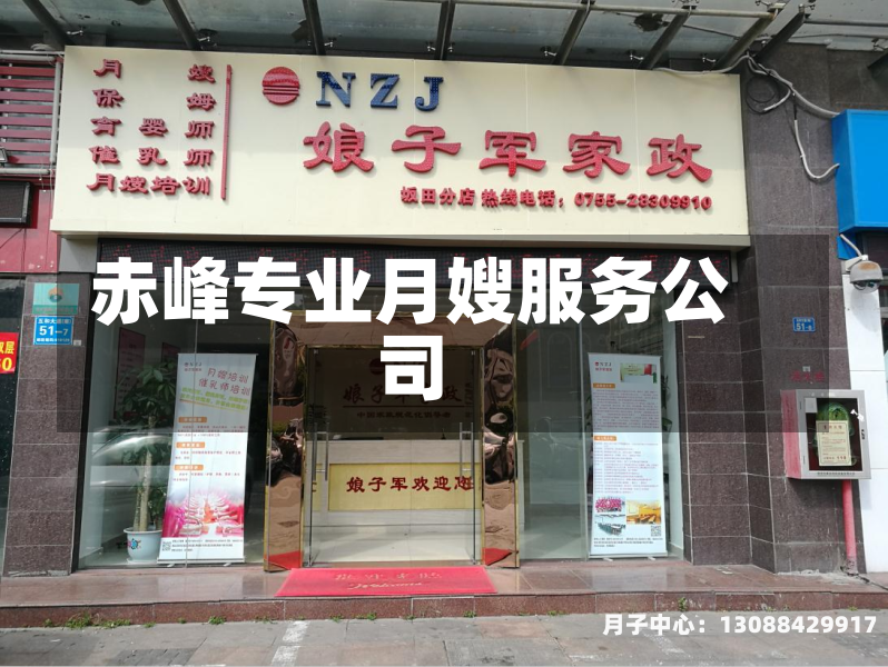 赤峰专业月嫂服务公司