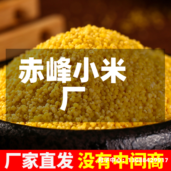 赤峰小米厂
