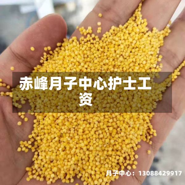 赤峰月子中心护士工资
