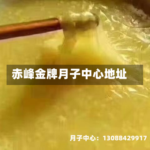 赤峰金牌月子中心地址