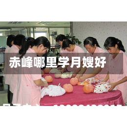 赤峰哪里学月嫂好