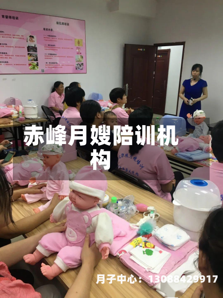 赤峰月嫂陪训机构