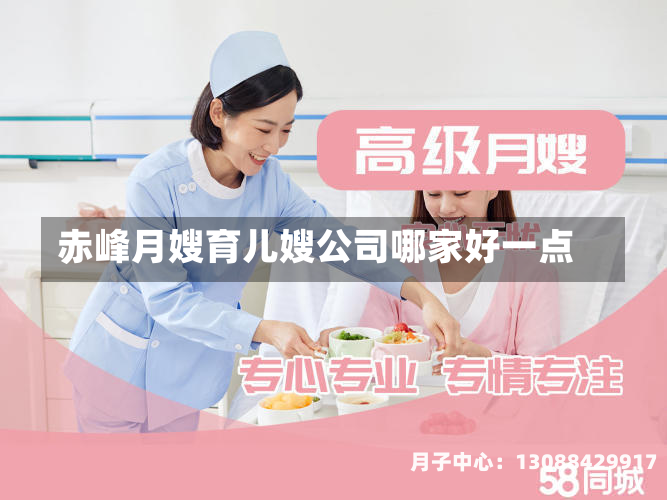 赤峰月嫂育儿嫂公司哪家好一点