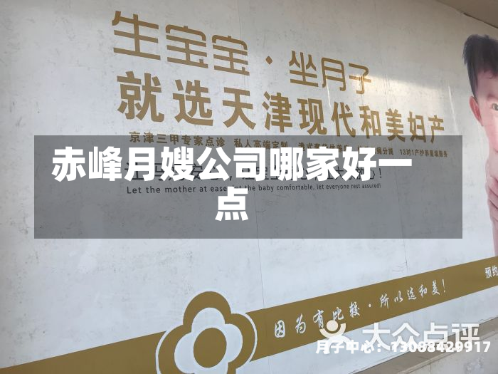 赤峰月嫂公司哪家好一点