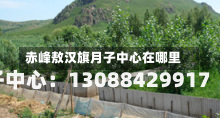 赤峰敖汉旗月子中心在哪里