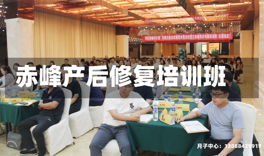 赤峰产后修复培训班