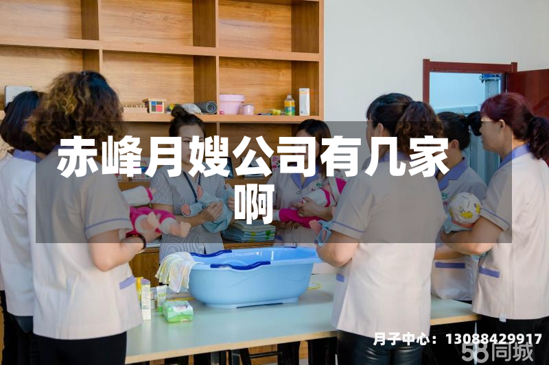 赤峰月嫂公司有几家啊