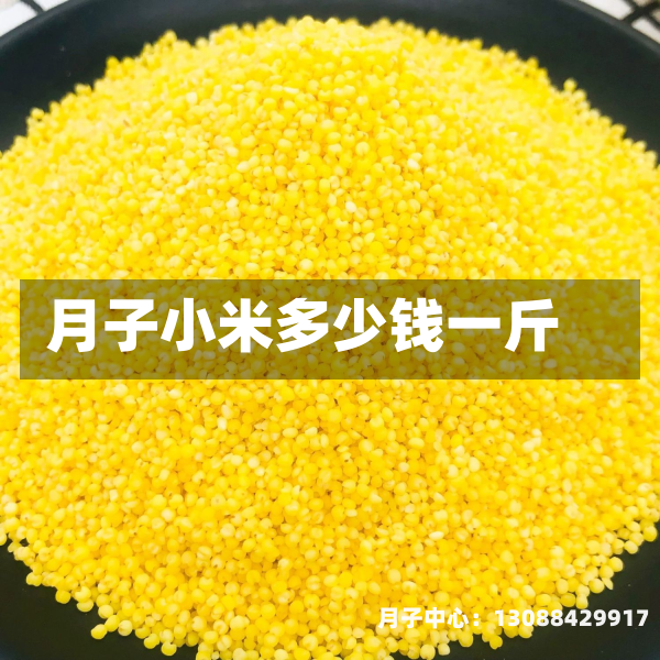 月子小米多少钱一斤